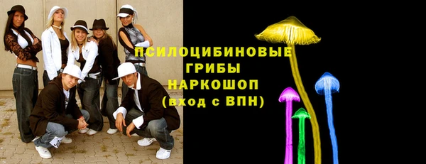 крисы Аркадак