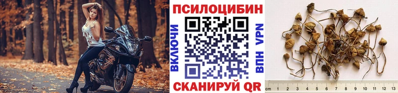 OMG онион  закладки  Лениногорск  Псилоцибиновые грибы Psilocybe 