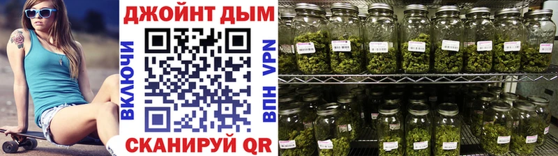 Каннабис семена сколько стоит Лениногорск